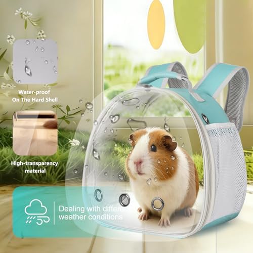 Guinea Pig Backpack, Space Capsule Bubble Window Small Animal Backpack