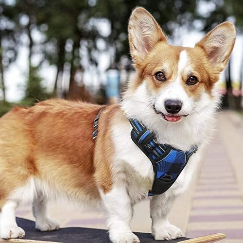 rabbitgoo Dog Harness No-Pull, Comfortable Padded Plaid Harness with Handle Easy Control, Adjustable Reflective Pet Vest with 2 Leash Clips for Small Dog, Blue Plaid, S