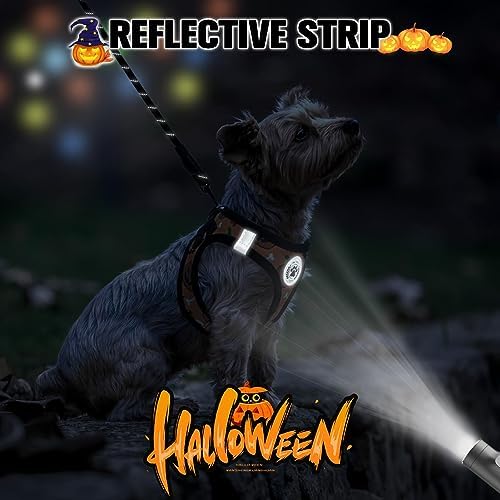 BEAUTYZOO Halloween Dog Harness Medium Sized and Leash Set, No Pull Pet Vest