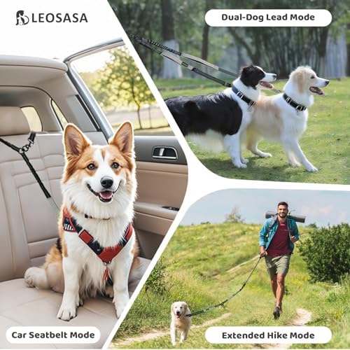 Double Dog Leash