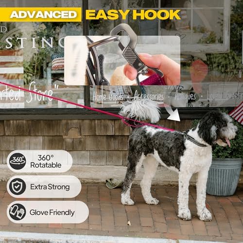 Fida 10 FT Heavy Duty Dog Leash, Dual Padded Handles