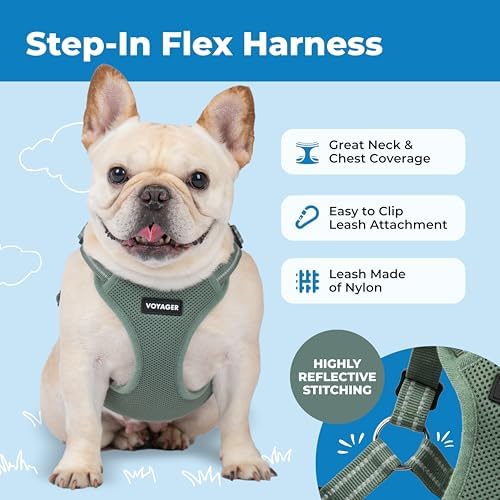Voyager Step-in Flex Adjustable Dog Harness