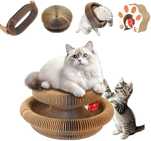 Kitty Curls Cat Toy, Cat Scratcher