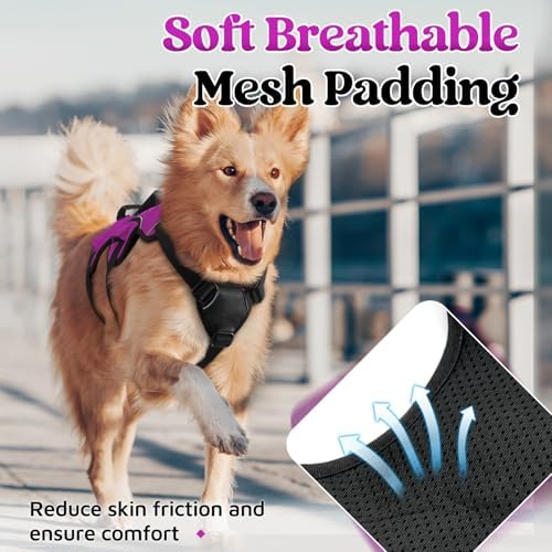 rabbitgoo Escape Proof Dog Harness