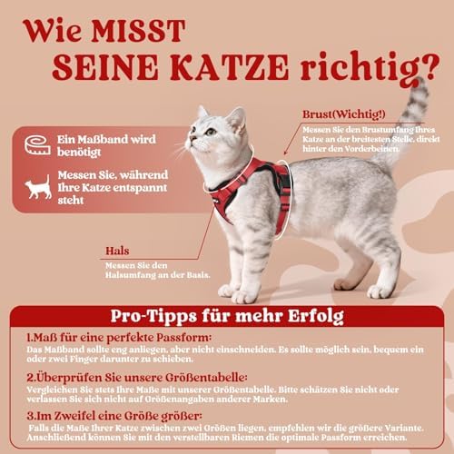 rabbitgoo Cat Harness and Leash Set, Escape Proof Vest