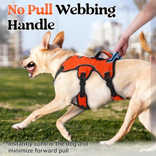rabbitgoo Escape Proof Dog Harness