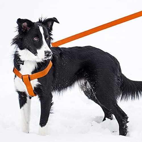 No Pull Dog Harness, Leash & Collar Set, Adjustable Step-in Vest