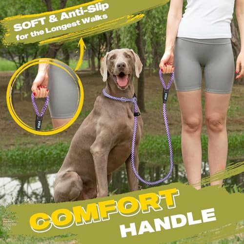 Fida Durable Slip Lead Dog Leash, 6 FT x 1/2" Dog Training Leash