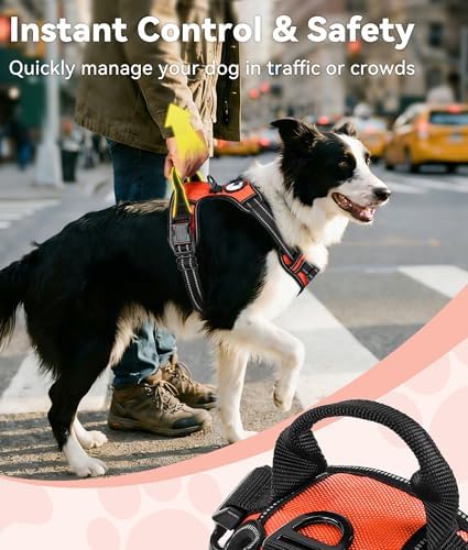 Joytale No Pull Dog Harness Medium Sized Dog, Front Clip