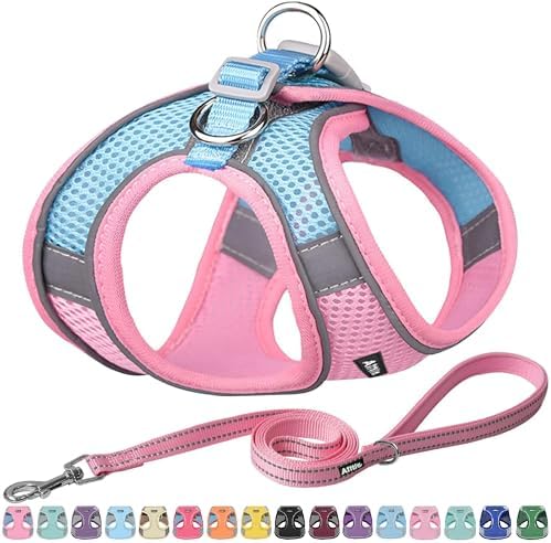 AIITLE Medium Dog Harness and Leash Set, Step-in Puppy Pet Vest