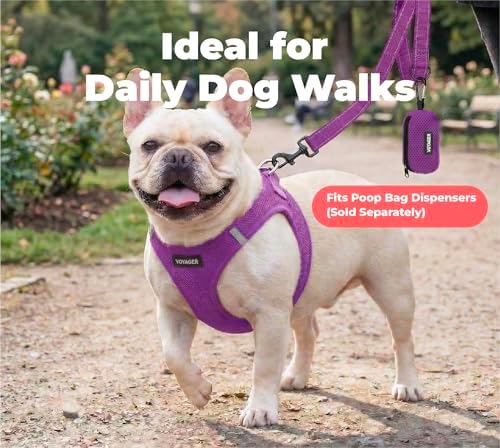 Best Pet Supplies Voyager Nylon Dog Leash