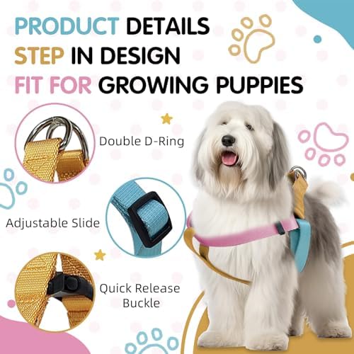 Blue Pink Tri-Color Small Dog Harness, Adjustable Step-in