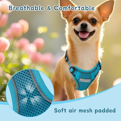 Small Dog Harness and Leash Set, Adjustable Small Sized Pet Vest