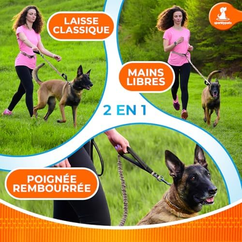 SparklyPets Hands Free Dog Leash, Medium & Large Breeds