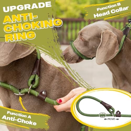 Fida Durable Slip Lead Dog Leash, 6 FT x 1/2" Dog Training Leash