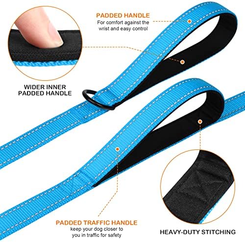 Joytale Dog Leash for Large Dogs that Pull, Double Handle, Aqua Blue