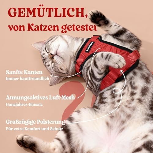 rabbitgoo Cat Harness and Leash Set, Escape Proof Vest