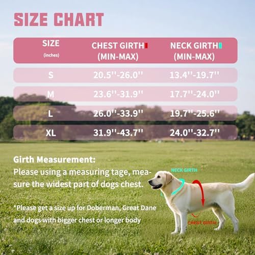 AUROTH Dog Harness and Leash Set Small Sized Dog, No Pull Escape Proof Vest