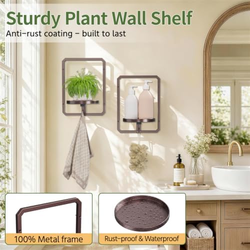 LASZOLA Plant Picture Frame Holder Shelf Wall Window Indoor
