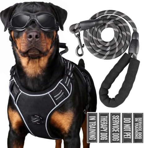 Dog Harness and Leash Set for Small Dogs, No Pull Tactical Dog Harness
