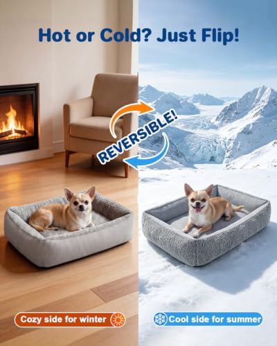Cooling Dog Bed for Small Medium Dogs