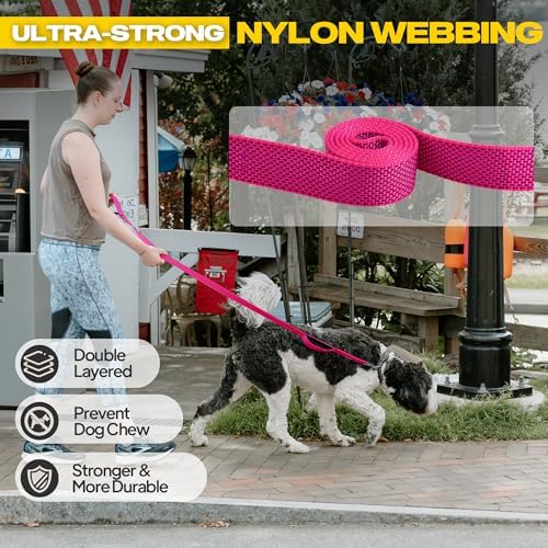 Fida 10 FT Heavy Duty Dog Leash, Dual Padded Handles