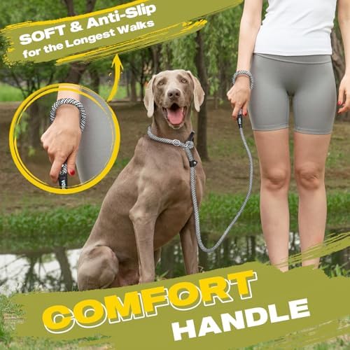 Fida Durable Slip Lead Dog Leash, 4 FT x 1/2" Dog Training Leash