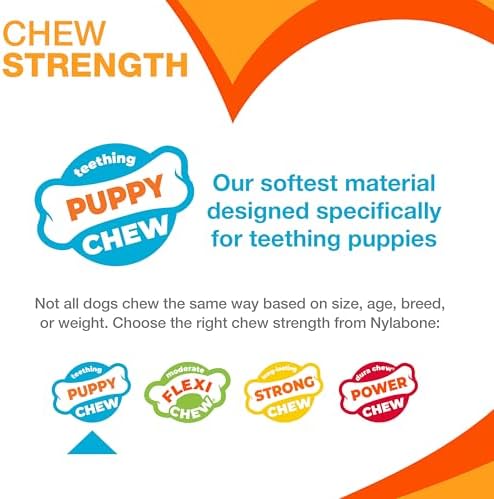 Nylabone Puppy Chew Pink Textured Teething Dog Bone