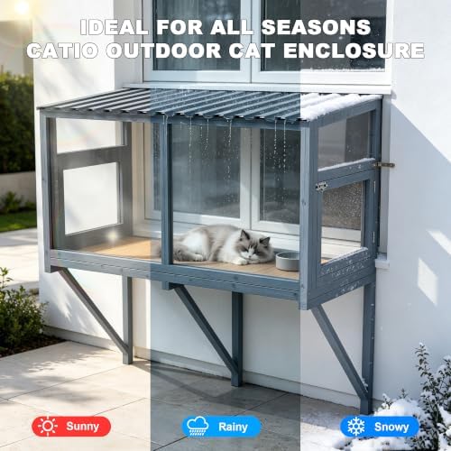 Cat Window Box Catio, Outdoor Cat Enclosure