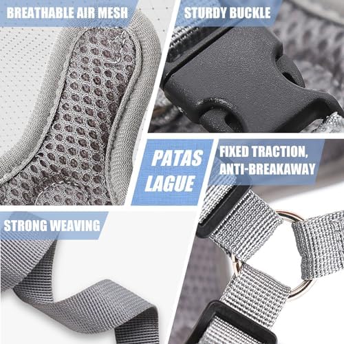 Patas Lague Dog Harness with Leash Set