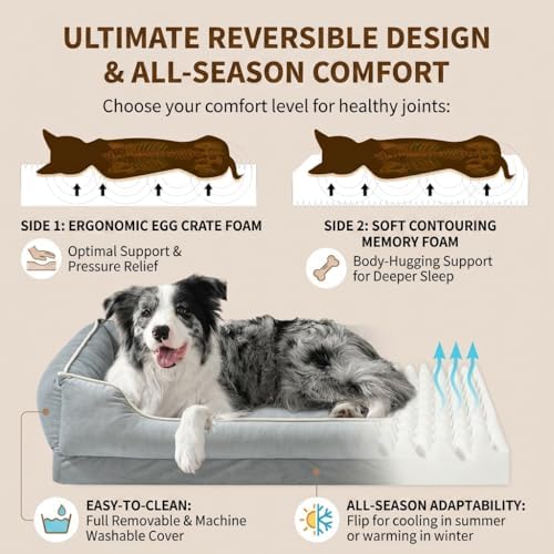 Orthopedic Dog Bed for Medium to Large Dogs & Cats