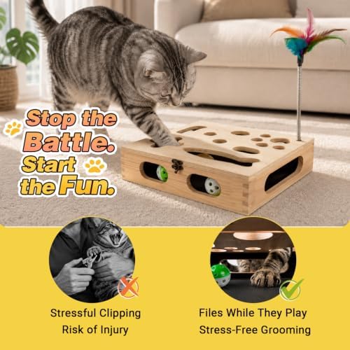 Cat Scratch Puzzle Enrichment Box, Interactive Cat Toy