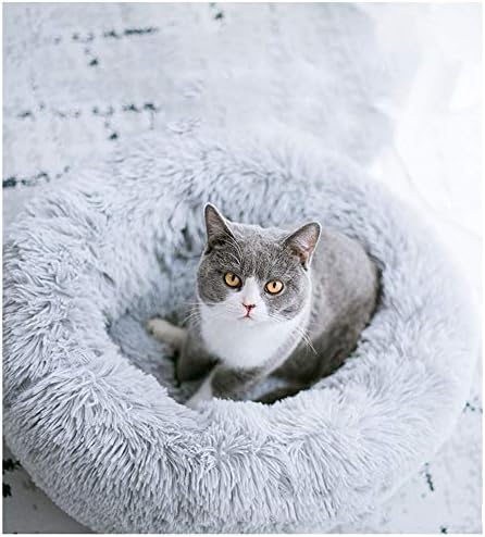 Cat Bed for Indoor Cats, Mini Plush Self Warming Kitten Bed, 20 Inch