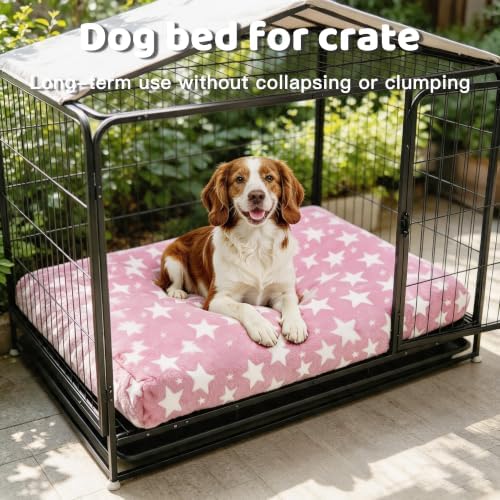 Orthopedic Dog Bed for Large Dogs