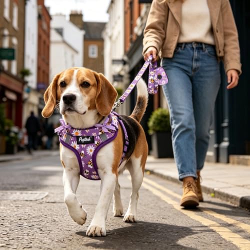 PUPTECK Dog Harness and Leash Set Small Sized, Step in No Pull Adjustable Puppy