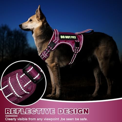 WINSEE Tactical Dog Harness, No Pull Dog Harness