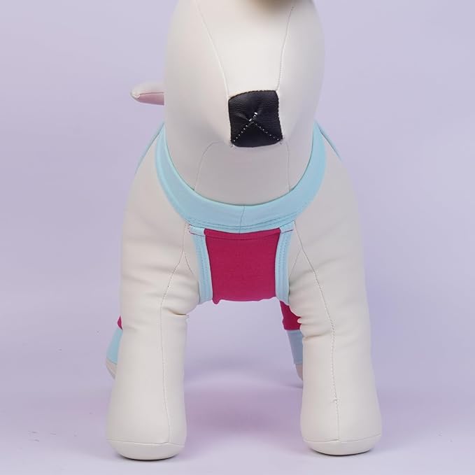 ROZKITCH Dog Surgery Leg Sleeve Rear Legs, Male Female Pet Prevent Licking Wound Elbow Knee Protector, Dog Recovery Suit Cone Collar Alternative Pants Shirt for Wound Heal Wrap Rosered L
