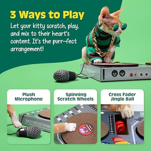 DJ Scratchpad Enrichment Cat and Kitten Toys