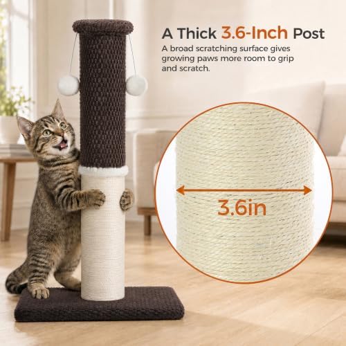 Made4Pets Cat Scratching Post