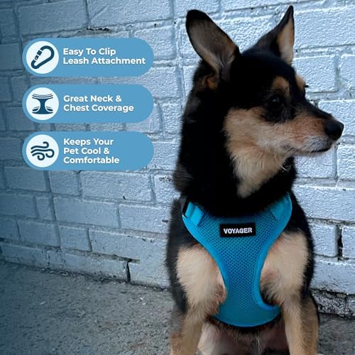 Voyager Step-in Lock Dog Harness