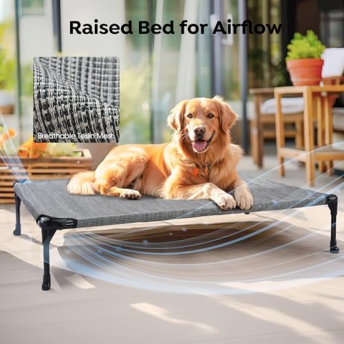 Veehoo 2 Pack Outdoor Elevated Dog Bed