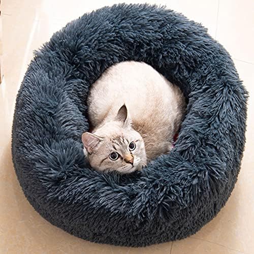 Cat Beds for Indoor Cats