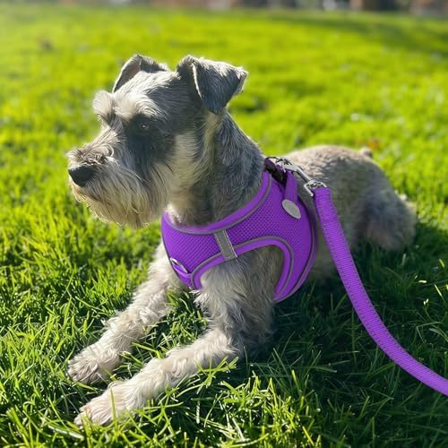Joytale Step-in Dog Harness, Soft Breathable Mesh