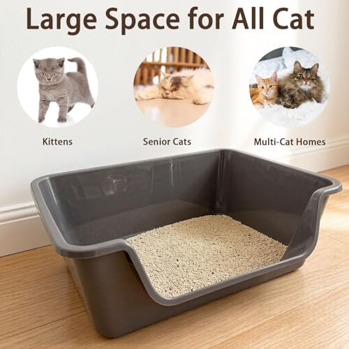 Low Entry Litter Box for Senior Cats High Sided Large Litter Box