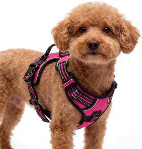 Hot Pink No-Pull Dog Harness