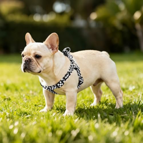 PUPTECK No Pull Dog Harness Small Sized Step-in Adjustable Puppy Vest