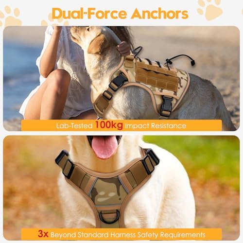 Heavy-Duty Tactical Dog Harness