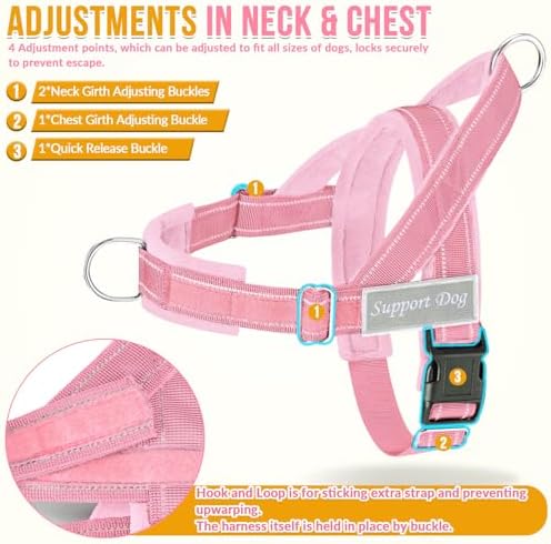 SlowTon No Pull Dog Harness and Leash Set