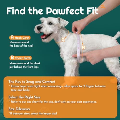 Eagloo Small Dog Harness and Leash Set, Step in Medium Small Puppy Pet Vest