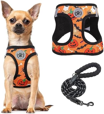 BEAUTYZOO Halloween Dog Harness Medium Sized and Leash Set, No Pull Pet Vest